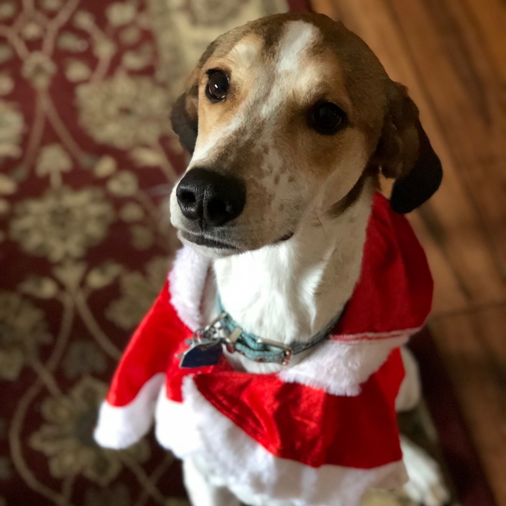 Meet your Posher, Shawna